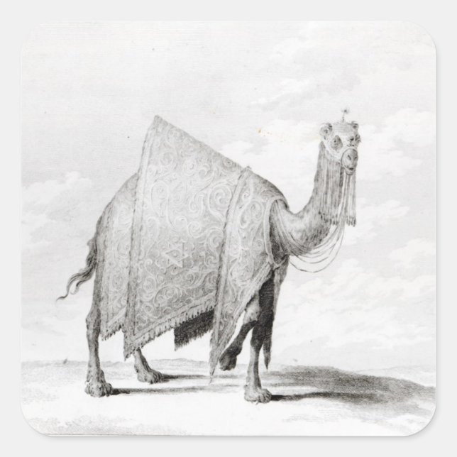 Pegatina Cuadrada Camello (Anverso)
