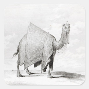 Pegatina Cuadrada Camello