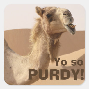 Pegatina Cuadrada Camello de Purdy