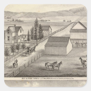 Pegatina Cuadrada Caminante, residencias de Knittel, granjas