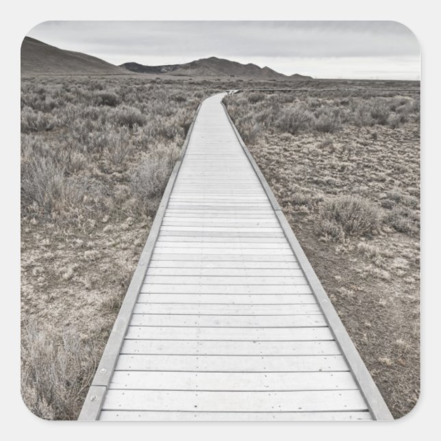 Pegatina Cuadrada Caminata en el desierto (Anverso)