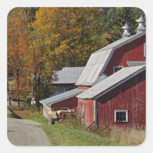 Pegatina Cuadrada Camino al lado del granero/de la granja rurales