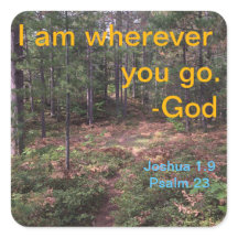 Camino de bosques del norte a comienzos de otoño