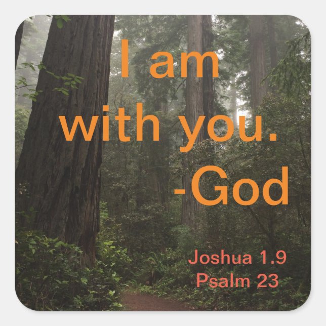 Pegatina Cuadrada Camino de secuoyas (Anverso)