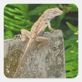 Pegatina Cuadrada Camouflage Master