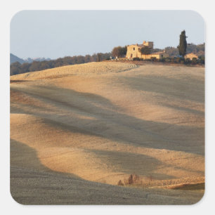 Pegatina Cuadrada Campo agrícola al atardecer, Val d'Orcia, Toscana