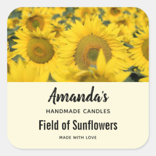 Pegatina Cuadrada Campo amarillo de girasoles. Vela de fotos