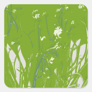 Pegatina Cuadrada campo de camomila verde