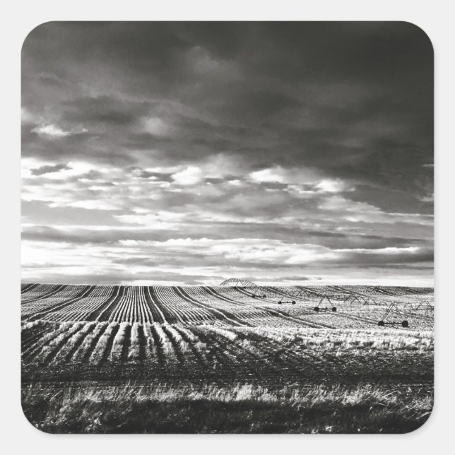 Pegatina Cuadrada campos de cultivo (Anverso)