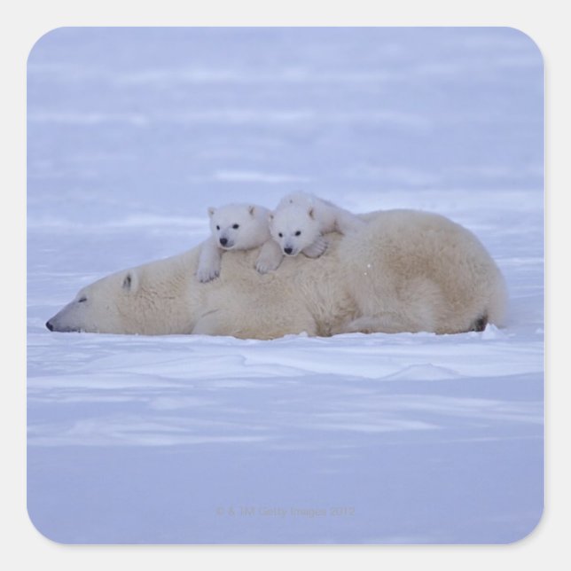 Pegatina Cuadrada Canadá (Anverso)