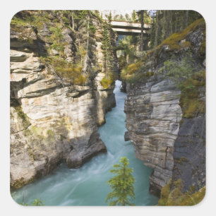 Pegatina Cuadrada Canadá, Alberta, Parque Nacional Jasper, Athabasca