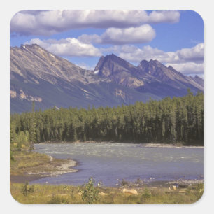 Pegatina Cuadrada Canadá, Alberta, Parque Nacional Jasper. Grande