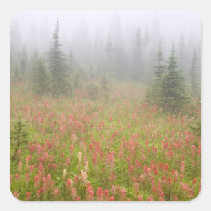 Pegatina Cuadrada Canadá, Columbia Británica, Revelstoke National