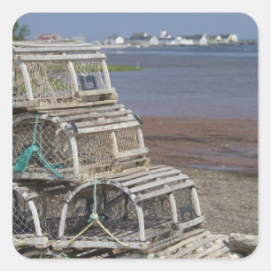 Pegatina Cuadrada Canadá, Isla del Príncipe Eduardo, Rústico. Lob