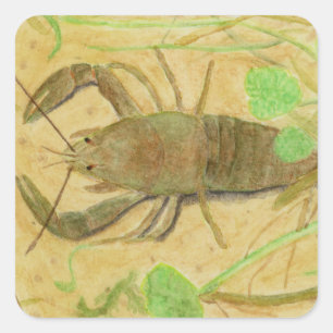 Pegatina Cuadrada Cangrejo