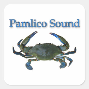 Pegatina Cuadrada Cangrejo azul sano de Pamlico
