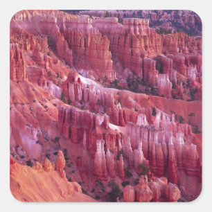 Pegatina Cuadrada Cañón Bryce, Utah, EE. UU.