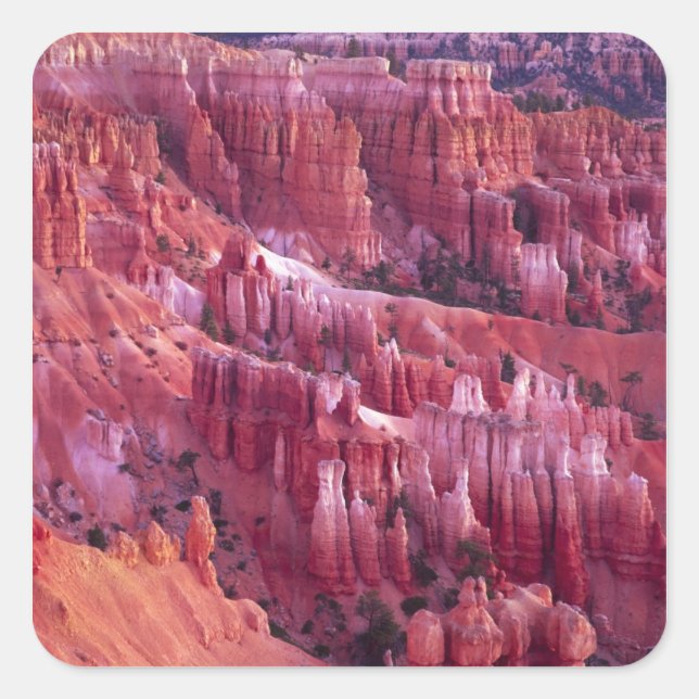 Pegatina Cuadrada Cañón Bryce, Utah, EE. UU. (Anverso)