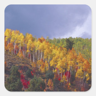 Pegatina Cuadrada Cañón de Logan en Utah en otoño con tormenta pasaj
