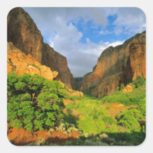 Pegatina Cuadrada Cañón Kolob en Zion Canyon en Zion National