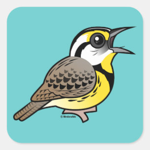 Pegatina Cuadrada Canto Meadowlark del este