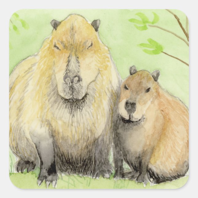 Pegatina Cuadrada Capibara (Anverso)