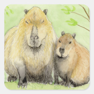 Pegatina Cuadrada Capibara