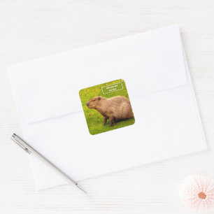 Pegatina Cuadrada Capibara personalizada