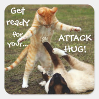 Captura De Captura De Gatos Graciosa Atacar A Hug