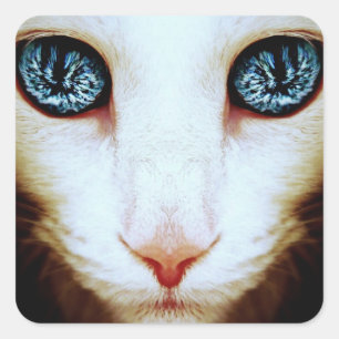 Pegatina Cuadrada cara de gato alienígena - pegatinas