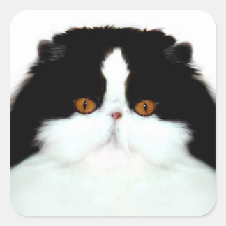 Pegatina Cuadrada Cara de gato persa de Tuxedo