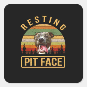 Pegatina Cuadrada Cara de Pitbull en quiebra