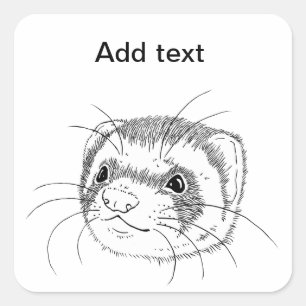 Pegatina Cuadrada Cara del hurón