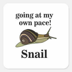 Pegatina Cuadrada Caracol que va a mi propio ritmo Caracol divertido