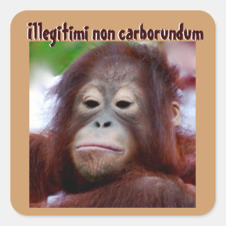 Pegatina Cuadrada Caras animales: Illegitimi non carborundum