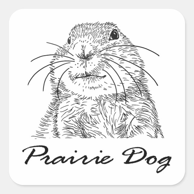 Pegatina Cuadrada carátula de perro purairie 3 (Anverso)