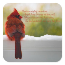 Cardenal con poema de Visitantes del cielo