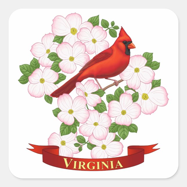 Pegatina Cuadrada Cardenal estatal de Virginia Bird and Dogwood Flow (Anverso)