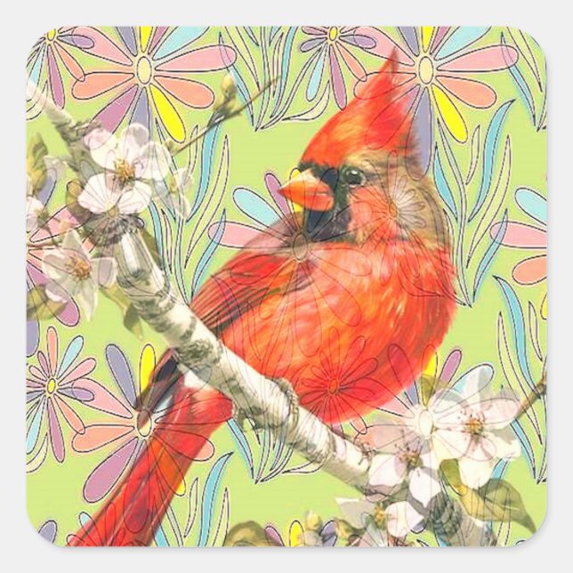 Pegatina Cuadrada cardenal rojo (Anverso)