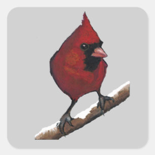 Pegatina Cuadrada Cardenal rojo: Pájaro: Ilustraciones del pastel