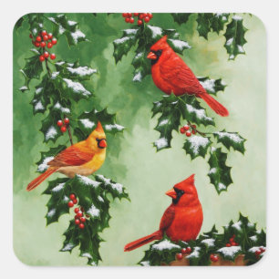 Pegatina Cuadrada Cardenales rojos del norte y Holly
