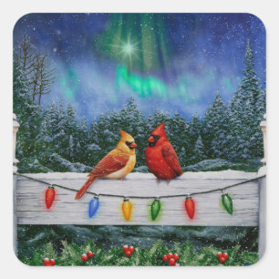 Pegatina Cuadrada Cardenales y Navidades iluminan la nieve de invier