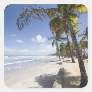 Pegatina Cuadrada Caribe - Trinidad - Playa Manzanilla en