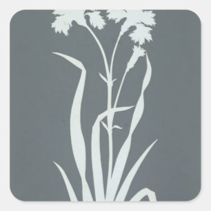 Pegatina Cuadrada Carnaval