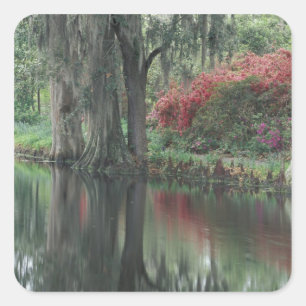 Pegatina Cuadrada Carolina del Sur, Charleston