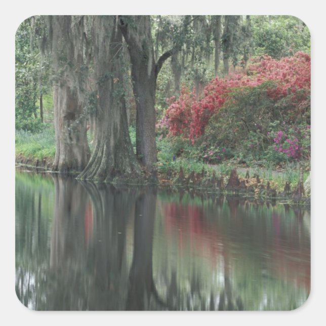 Pegatina Cuadrada Carolina del Sur, Charleston (Anverso)