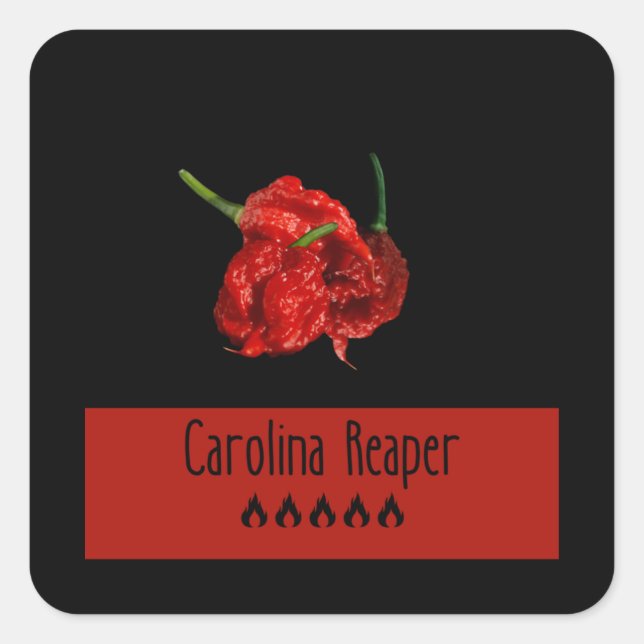 Pegatina Cuadrada Carolina Reaper (Anverso)
