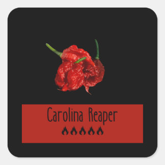 Pegatina Cuadrada Carolina Reaper