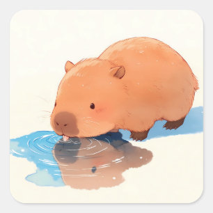 Pegatina Cuadrada Carpincho Adorable Bebiendo de un Charco Azul