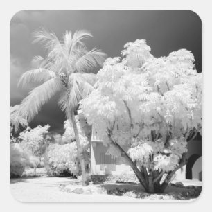 Pegatina Cuadrada Casa de Florida Keys y sus palmeras, EE. UU. 2